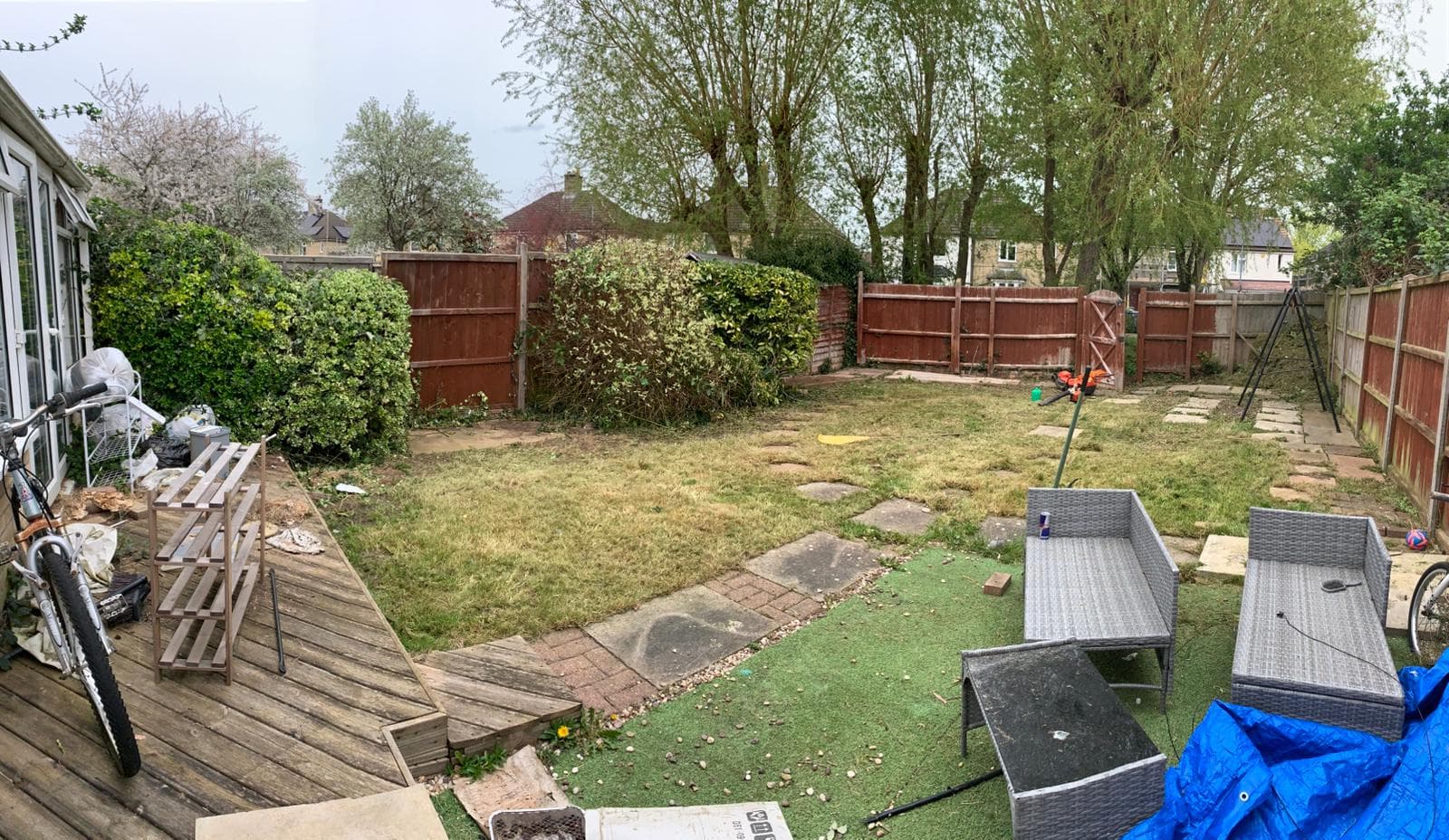 Heavily overgrown rear garden before clearance work began